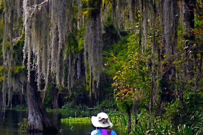 Wekiva River Guided Kayak Tour - The first paddle: heading into the wilderness