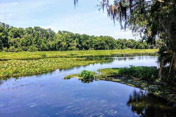 Wekiva Wildlife Kayaking Adventure Tour - Paddling the lower Wekiva River near Sanford