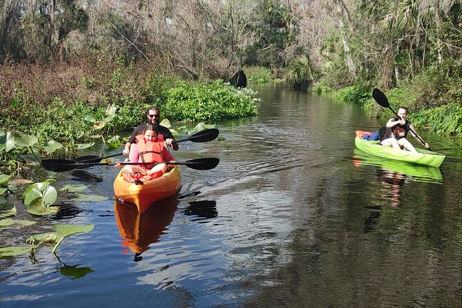 Wekiva Wildlife Kayaking Adventure Tour - Kayak equipment and what you need to bring