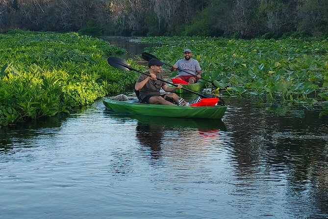 Wekiva Wildlife Kayaking Adventure Tour - Timing, weather, and cancellation details