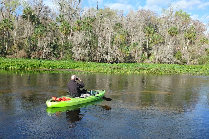 Wekiva Wildlife Kayaking Adventure Tour - Who will enjoy this Wekiva kayak trip?