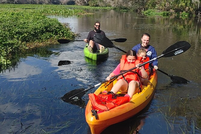 Wekiva Wildlife Kayaking Adventure Tour - What you might see from the kayak