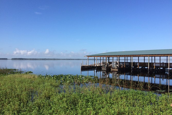 Wild Florida Adventure Package Tour with Hotel Pickup & Lunch - The cypress boardwalk and a quieter side of Florida