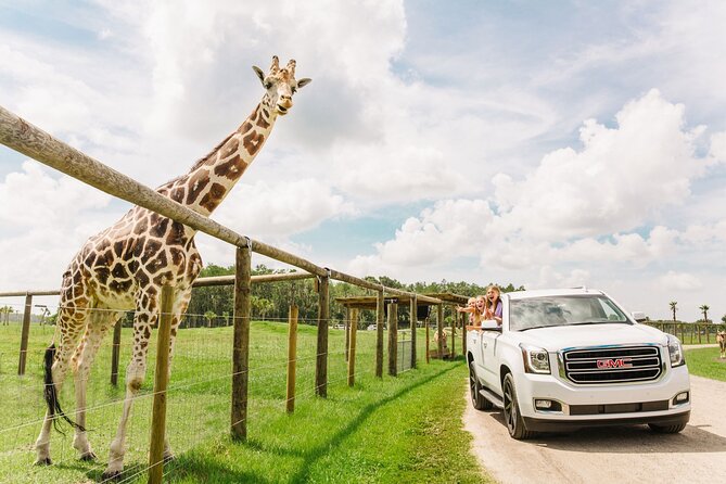 Wild Florida Drive-Thru Safari and Gator Park Admission - Key points to know before you go